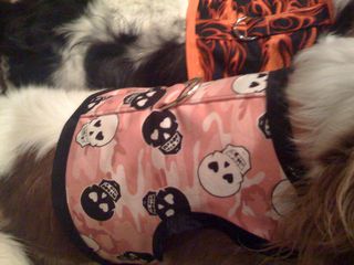 dog harnesses skulls