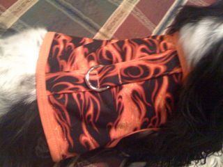 willie sturgeon harness