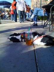 Willie Sturgeon at Starbucks