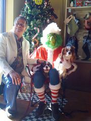 babies see the grinch