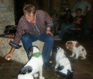 dog cupcakes three dog bakery