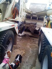 willie and dixie with the concrete truck