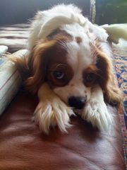 off phone 101308 062