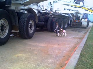 cavaliers and big trucks