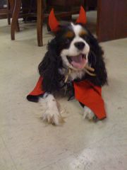 willie haloween costume