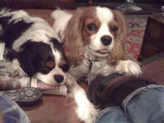 Willie Sturgeon Dixie Sturgeon