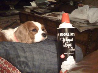 cavalier whipped creme