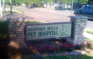 cavalier rescue, eastern hills pet hospital