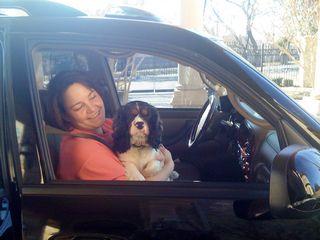 cavalier rescues
