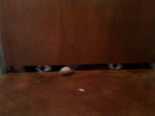 !cid_A35AA3EC-DD41-40D1-B308-4838AFB36140