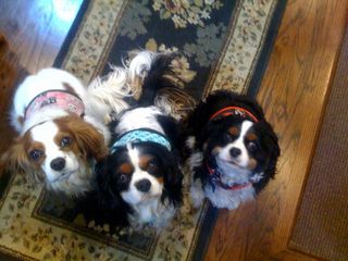 !cid_D2542AB7-F0BC-4FA2-BD54-518C9086E825