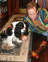 cavalier willie dog bone