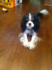 off phone 100108 002