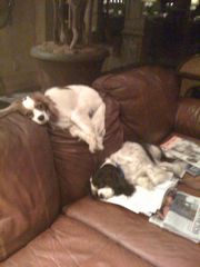 off phone 100108 004