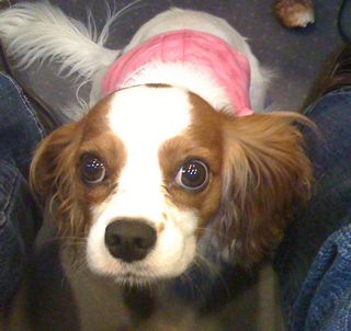 off phone 100108 005