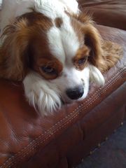 off phone 110208 003