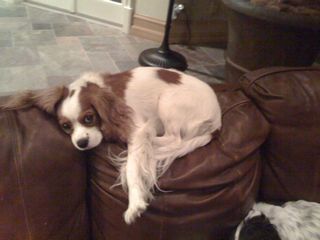 off phone 110208 019