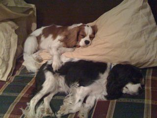 off phone 110208 033