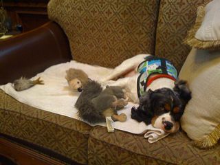 off phone 111408 018