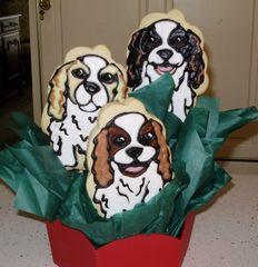 cavalier cookies