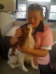 Kristy Pampered Paws