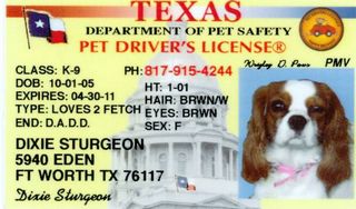 Dixie Drivers license 051509