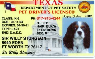 willie drivers lic 051509