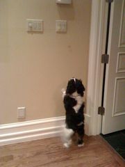 !cid_1C23445E-8446-4006-9C22-153F7724BD56