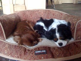 !cid_841A4418-A396-4E04-A2E8-06486106FAF8