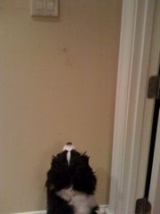 !cid_851BD4FF-56FB-4AF1-9B48-3E4A5F4AD808