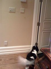 !cid_85405F15-E3C1-40C9-AA1C-E780AC5D05A5