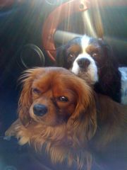 !cid_940BAE81-26A8-433E-9C15-BFB267F78A6D