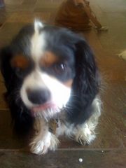 !cid_C5AC6DD5-4DAF-40CA-97D0-47FC5BA1C9E2