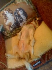 !cid_D8B356B8-2F16-44B2-92D3-272907FAA17E