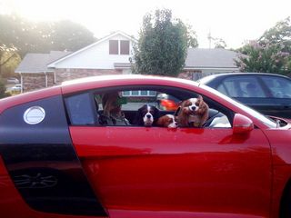 !cid_DE028E01-BD72-4A07-B3BF-BFA8B496B640