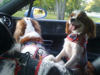 0630092009_0630_104404AC