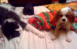 !cid_5883DB4E-685B-4501-B66D-D796D1EE090F