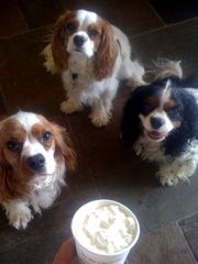 !cid_F8ABDDC6-FD53-440F-BC78-9D5BE1035A64