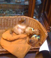 0630092009_0630_104404AA