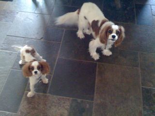 0630092009_0630_104406AA