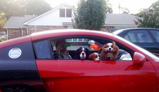 Copy of !cid_DE028E01-BD72-4A07-B3BF-BFA8B496B640