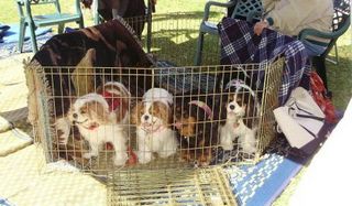 !cid_F7D27DAF8C294F66B0E0D8C614877A06@kath01