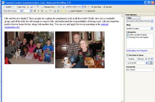 blog posting screen Bytesscout Post2blog