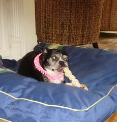 Zoe & Simon 1-15-10 006