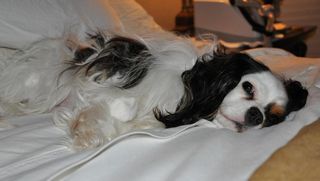 !cid_B621B81821764330A836C232B04ADA0D@kath01