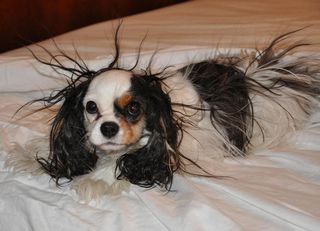 !cid_C69E0207FA064476B70D25DDA9763A41@kath01