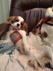 !cid_F29D44DA-6D55-4D55-B3E9-B7935F4AF085