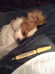 0630092009_0630_104405AA