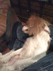 0630092009_0630_104421AA