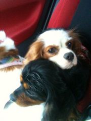 !cid_BD55B1F4-7382-4155-B6D3-6C50DB74C76B